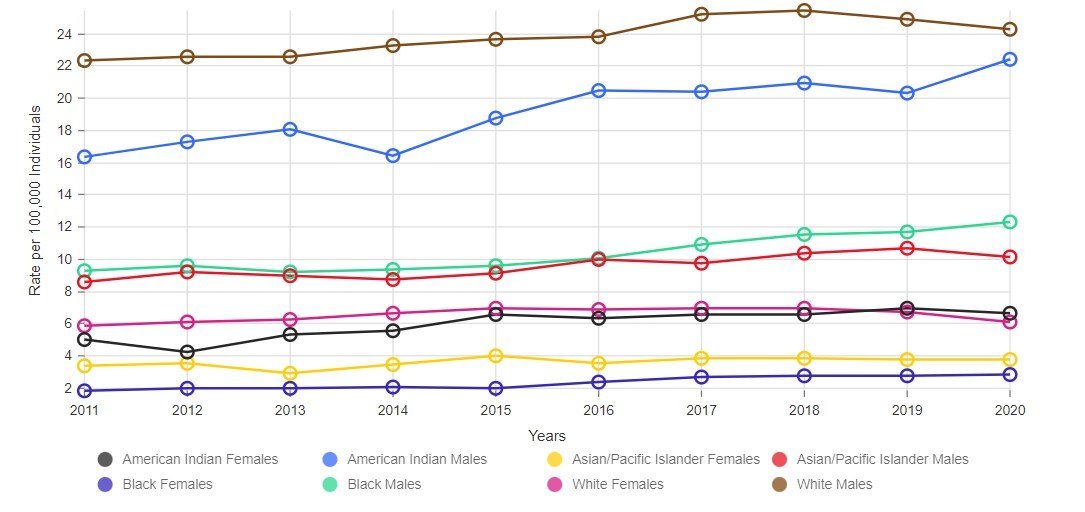 Suicide rates by gender and ethnicity