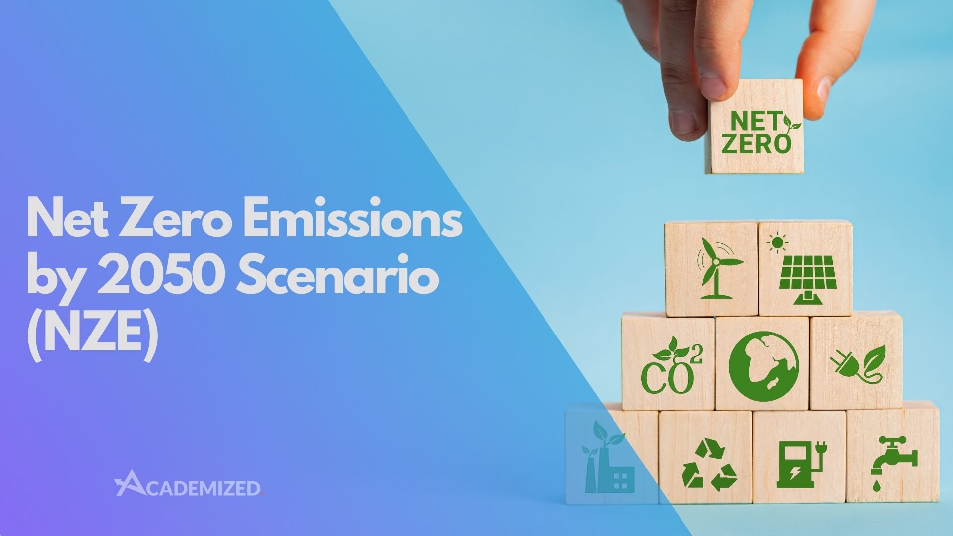 Net Zero Emissions by 2050 Scenario (NZE)