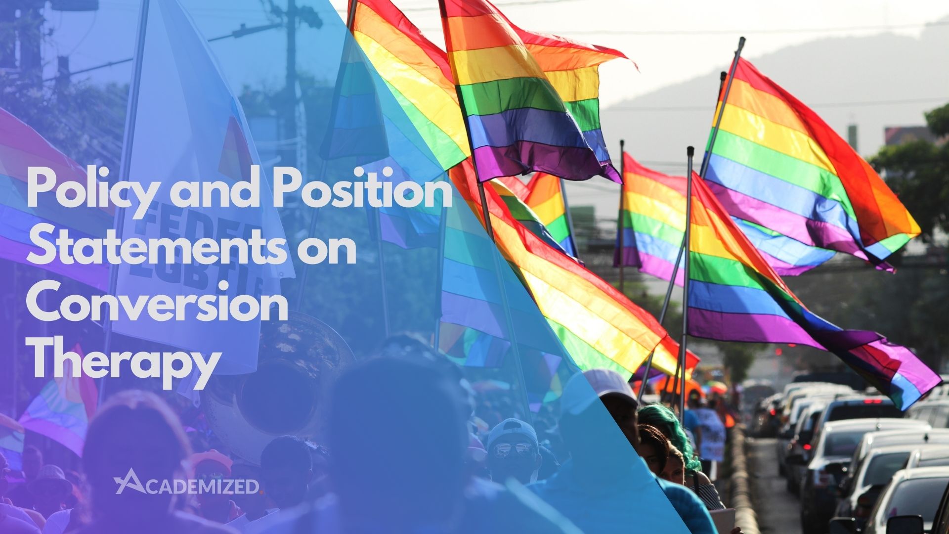 Policy and Position Statements on Conversion Therapy