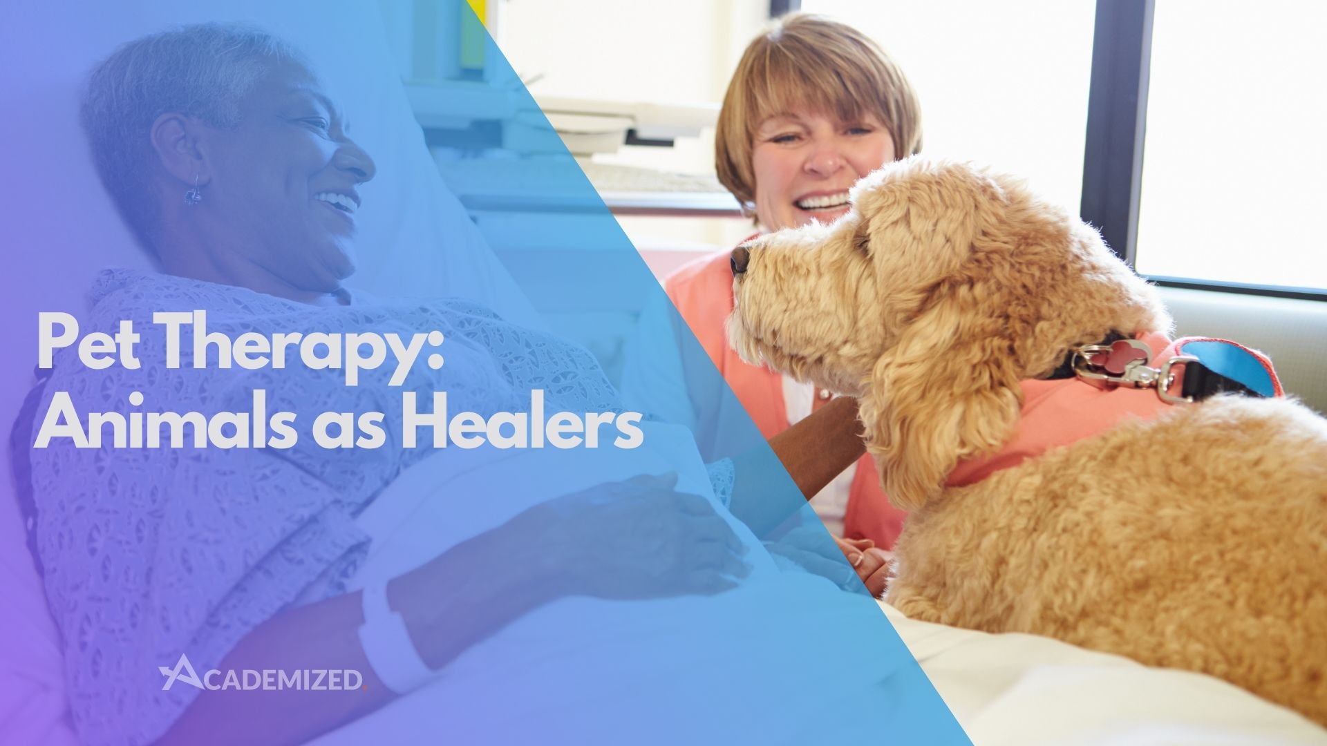 Pet Therapy: Animals as Healers