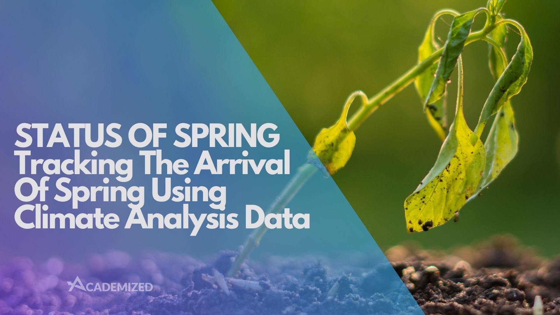 Status of Spring: Tracking the Arrival of Spring Using Climate Analysis Data