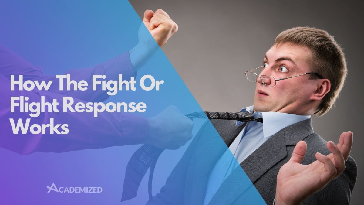 How the Fight or Flight Response Works