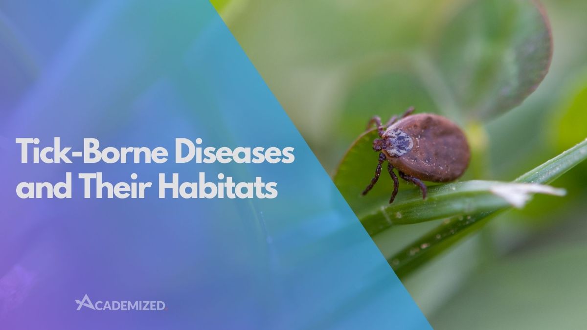 Tick-Borne Diseases and Their Habitats