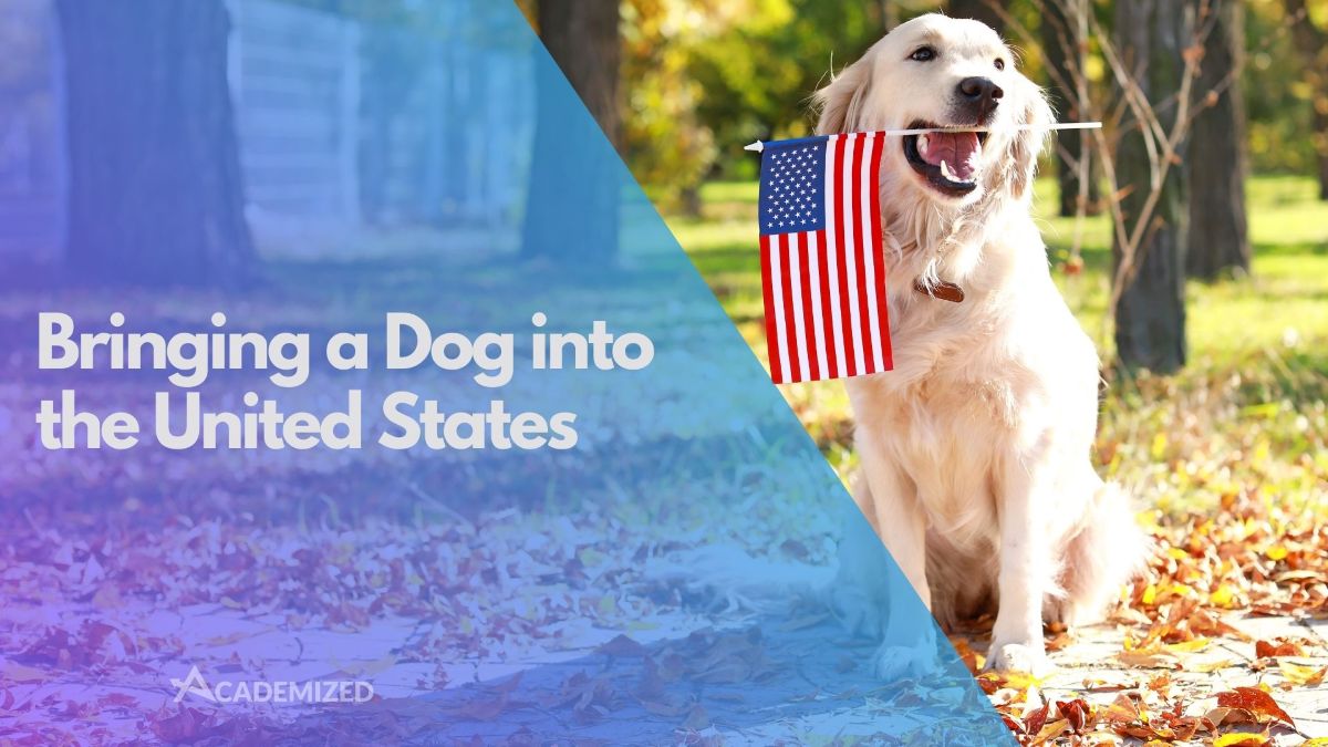 Bringing a Dog into the United States