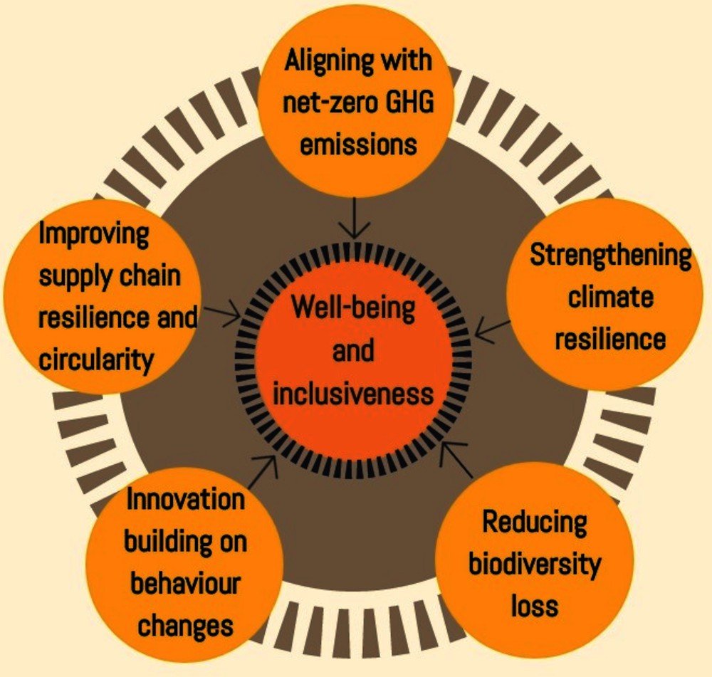 Key dimensions for Building Back Better