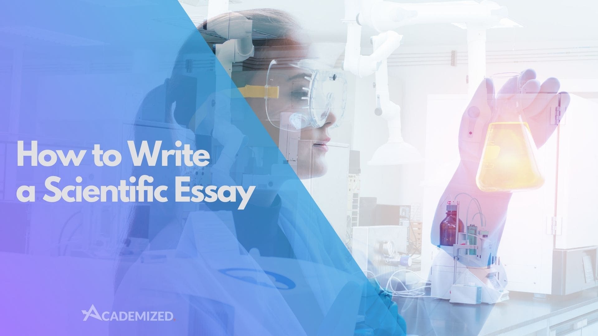 How to Write a Scientific Essay for Top Grades
