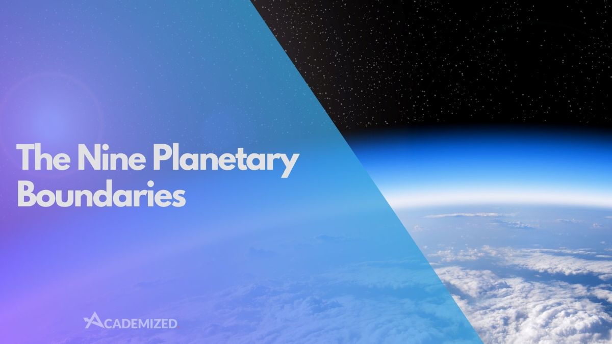 The Nine Planetary Boundaries